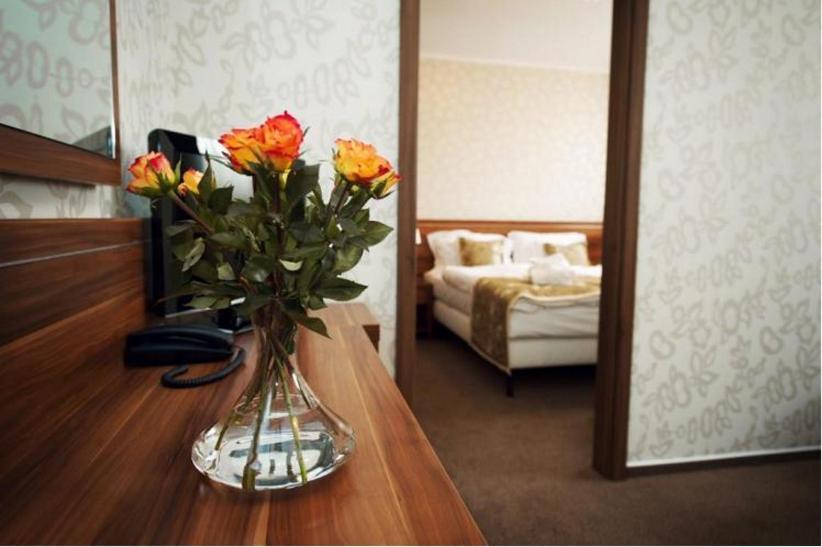 Wellness Hotel Spark Malacky Bilik gambar